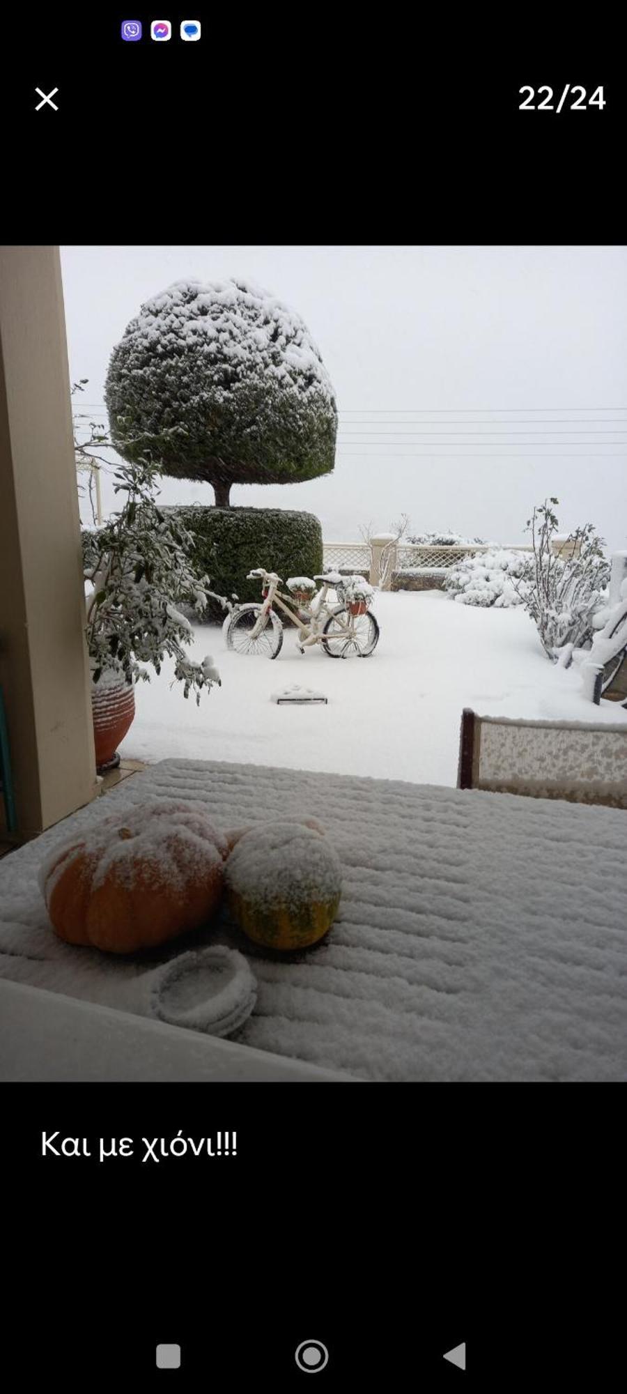 Evelina - Home With View Volos Kamer foto